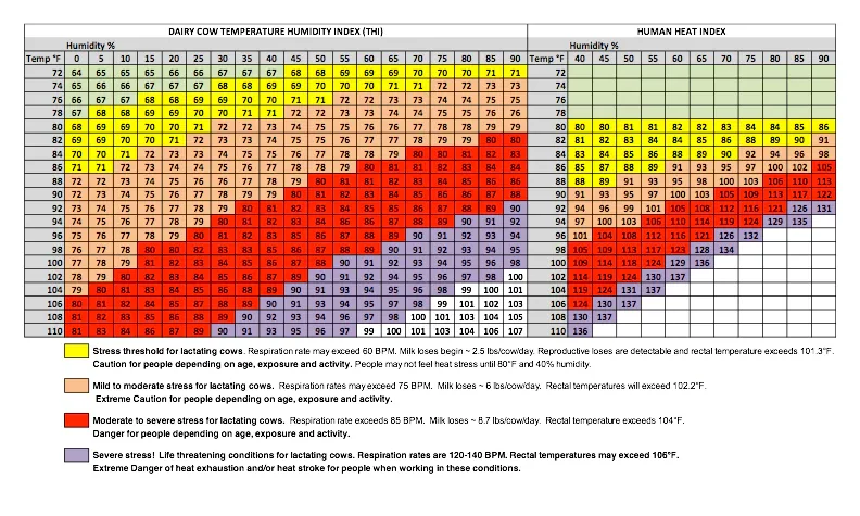 Cattle Heat Stress (THI)